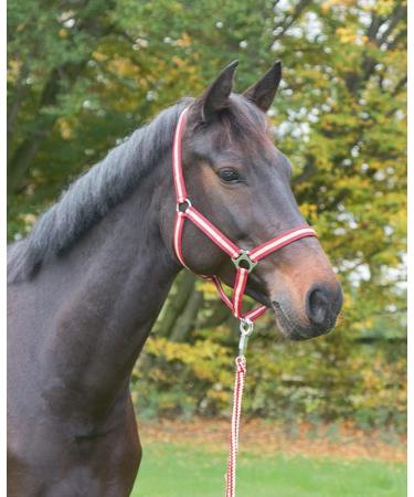 Buy Kerbl Nylon Halter Hippo - Adjustable Halter for Ponies Shetlands and Full Cob Sizes in 6 Colors | International Shipping Available - Buy Online on GoSupps.com
