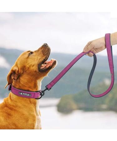 Didog Soft Padded Leather Dog Collar with Engraved Name Tag - Personalizable for Small & Medium Dogs - M 27-33 cm Purple - Buy Online on GoSupps.com