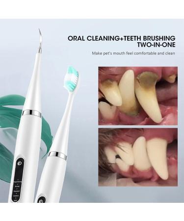 Canilab - Dental Scaler for Dogs Dog Plaque and Tartar Remover Dog Dental Cleaning Kit Equipped with 5 Adjustable Intensities (White one Size) - Buy Online on GoSupps.com