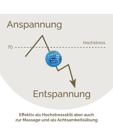 2x DBT Skills Hedgehog Ball - Magnetic Acupressure Ball for Stress Relief Massage and Enhanced Mobility | Light Blue 32mm - Buy Online on GoSupps.com