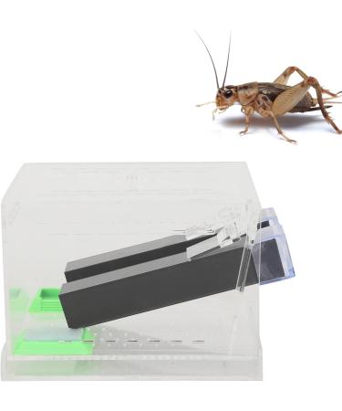 Cricket Keeper Cricket Care Kit Acrylic Feeding Cricket Pen with Food and Water Feeding Tub Insect Cockroach Care Reptile Tank Box for Home Office Cricket Feeding(L) - Buy Online on GoSupps.com