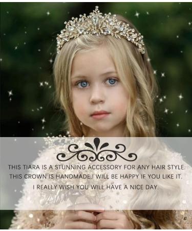 Yean Silver Rhinestone Princess Tiara Crown - Crystal Birthday Headband for Women/Girls - Hair Accessory - Buy Online on GoSupps.com