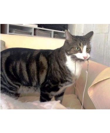 Purrs Ratatouille attachment- Fits PurrSuit Frenzy & DaBird wand Cat Toys - Buy Online on GoSupps.com