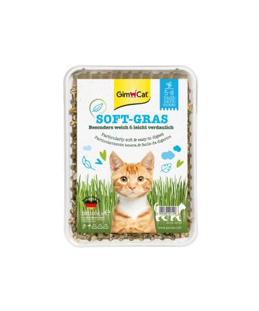 GimCat Soft Grass - tender and vitamin-rich cat grass with quick growth in just 5 to 8 days - 1 bowl (1 x 100 g)