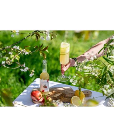 Luscombe Organic Apple Juice (12x27cl) - Natural Ingredients, No Added Sugar, Vegan & Gluten Free - Rich in Vitamin C - Buy Online on GoSupps.com