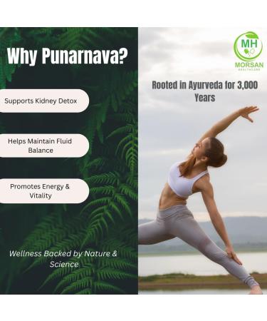 Morsan Healthcare Punarnava Capsules (Boerhaavia Diffusa) 500mg 60 Veg Capsules | Herbal Wellness Supplement for Natural Kidney & Liver Support | Plant-Based Detox & Cleansing Formula | Pack of 2 - Buy Online on GoSupps.com