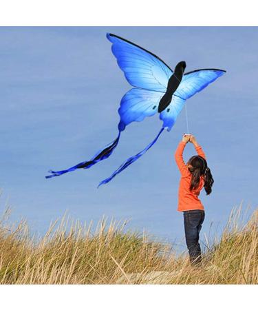 HENGDA Butterfly Kite for Kids & Adults - Outdoor Single Line Kite with Flying Tools - Buy Online on GoSupps.com