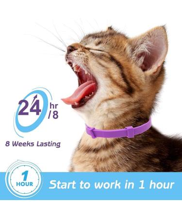 Calming Collar for Cats - Reduces Anxiety & Hyperactivity - 2 Pack Purple - Adjustable Length - Suitable for Small, Medium & Large Cats - Buy Online on GoSupps.com