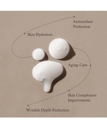 Buy Miracle Youth Serum - Retinol 0.1% for Beginners | Niacinamide | Firm Skin & Wrinkle Care | Vegan | 1.69 fl oz (50ml) - International Shipping Available - Buy Online on GoSupps.com