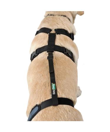 Ortocanis - Dog Back Belt Lumbar Fixation for Knee Brace Belt Only Size XS