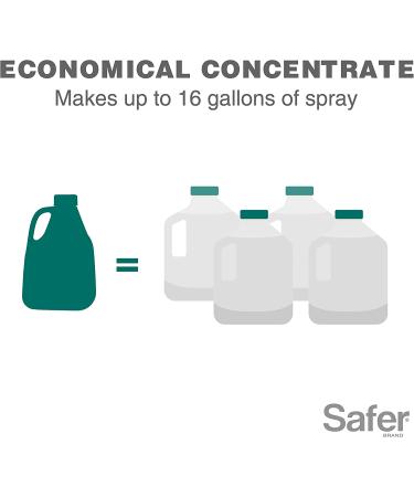 Safer Brand Neem Oil Concentrate Insecticide Miticide Fungicide for Plants | Organic OMRI Listed Solution for Insects, Mites, and Fungal Disease - Buy Online on GoSupps.com