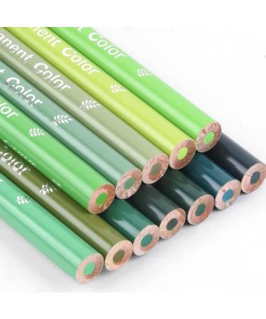 Qianshan 12 Green Oil-Based Pre-Sharpened Colored Pencils Set for Adults - Ideal for Coloring, Drawing, and Sketching - Buy Online on GoSupps.com