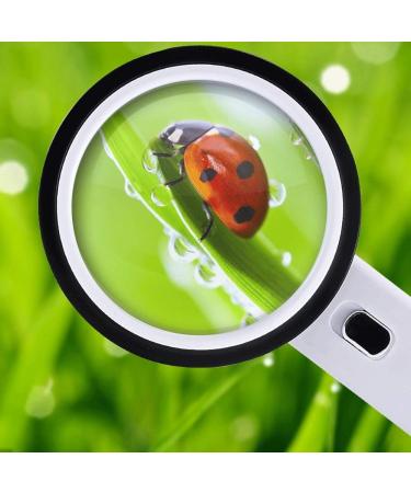 30 Times Magnifying Glass 125MM Diameter with Lamp for The Elderly Reading Magnifying Mirror Good Times - Buy Online on GoSupps.com