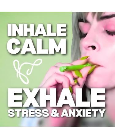 Chewable Breather Chewable Breather Sticks Health Chews Chewable Breather Chewable Breather Sticks Quit Smoking Flavored Chewable Breather Stick with Essential Oil for Aromatherapy (1PCS B) 3pcs a - Buy Online on GoSupps.com