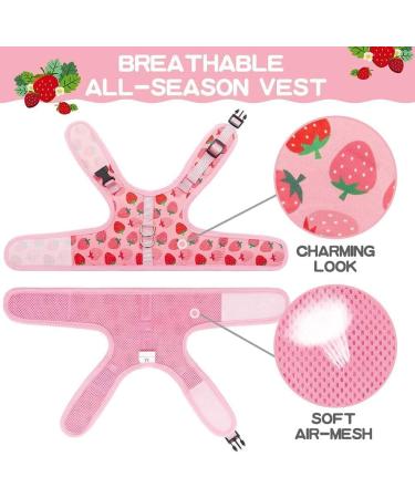 BINGPET Cat Harness with Leash Escape Proof - Fashionable Mesh Cat Dog Walking Harness Leads Adjustable for Kitties Puppies Large Animals Strawberry Large - Buy Online on GoSupps.com