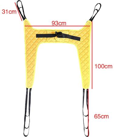 Liulijun Full Body Transfer Care Belt - Durable Lifting Aid for Seniors Bariatric & Disabled Individuals - Safe Transfer & Toilet Assistance - Buy Online on GoSupps.com