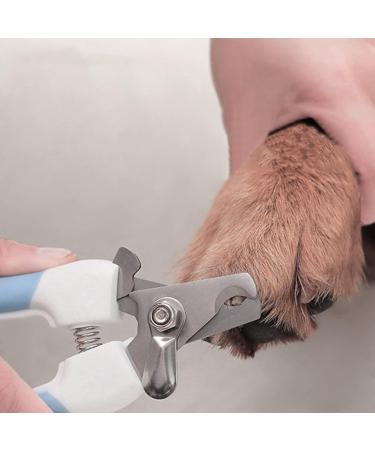 PSGS The Stainless Steel Pet Nail Clipper Specially Designed for Pet Nails Labor-Saving and Convenient Simple Comfortable to Operate (Color : Blue Large) - Buy Online on GoSupps.com