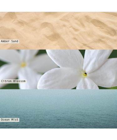 ILLUME Driftwood Refillable Glass Candle - Elegant Aromatherapy | International Shipping Available - Buy Online on GoSupps.com