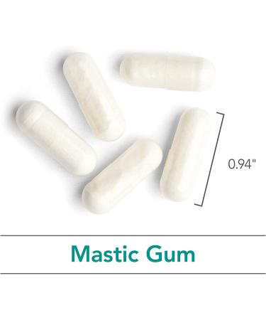 Nutricology Mastic Gum Chios Gum Mastic 240 Vegetarian Capsules - Buy Online on GoSupps.com