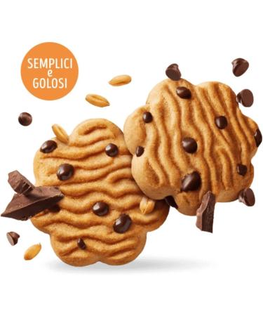  Italian Gourmet E.R. Privolat Biscuits with Chocolate Chips 290 g / 290 g / Pulp Italian Gourmet 400 g Pack of 12 - Buy Online on GoSupps.com