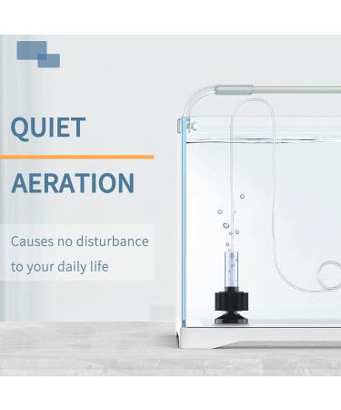 Pawfly Nano Bio-Sponge Filter Kit for Small Aquariums (4-12L) - Quiet Betta & Shrimp Foam Filter with Airline Hose - Buy Online on GoSupps.com