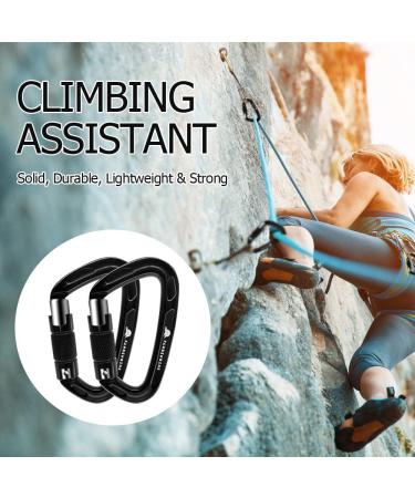 PANDENGZHE 25KN Heavy Duty Carabiner Clip (2 Pack) - Ideal for Climbing, Rigging, Ropes, Hammocks - Buy Online on GoSupps.com