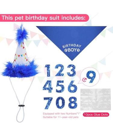 Dog Birthday Hat Bandana Set - Soft Birthday Boy Triangle Scarf and Number Hat  Cute Birthday Party Supplies with 0-8 Figures Blue - Buy Online on GoSupps.com