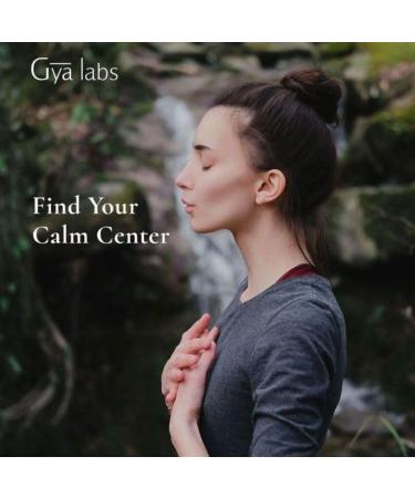 Fresh Forest Essential Oil Blend Diffuser & Mindful Meditation for Diffuser Set - Essential Oils Set - 2x0.34 fl oz - Gya Labs - Buy Online on GoSupps.com