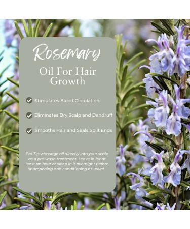 Baja Basics Organic Rosemary Hair Oil - 2 oz | Promotes Hair Growth, Moisturizes Scalp, Strengthens Hair | For Split Ends & Dry Scalp | Safe for all Hair Types - Buy Online on GoSupps.com