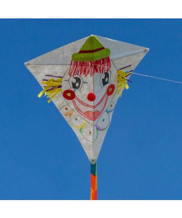 Cim Dragon Kits - 3-Piece Craft Kites Set | Handicraft Dragon Kites with 60x66cm Sail & 20m Cord | Perfect for DIY Tinkering - Buy Online on GoSupps.com