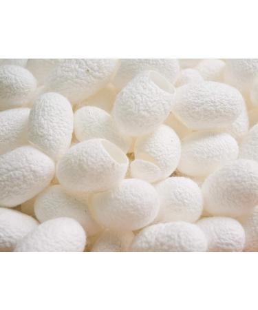 Silk Body Lotion with Flax Vitamin E & Collagen - 500 ml Moisturizer | BINGOSPA - Buy Online on GoSupps.com