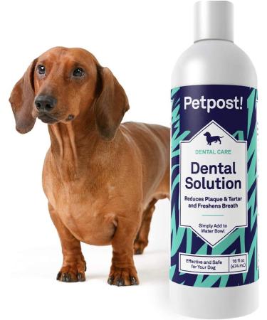 Petpost | Dental Solution for Dogs - Water Additive That Eliminates Bad Breath - Dirt  Gunk  and Tooth Buildup Gone - Natural Tooth Cleaning Solution 16 Fl Oz (Pack of 1) - Buy Online on GoSupps.com