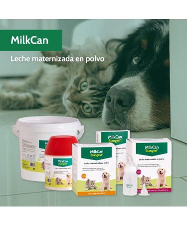 STANGEST Milk Can 400GR - Buy Online on GoSupps.com