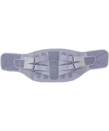 Buy Back Support Belts - Lumbar Support for Pain Relief Core Support & Sciatica Relief | Protect Your Back! - Buy Online on GoSupps.com