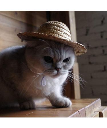 Shop U-M Pet Dog & Cat Straw Hat | Durable Bauer Style Costume | 14cm x 14cm - Buy Online on GoSupps.com