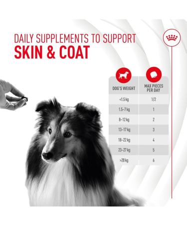Royal Canin Dog Supplement for Skin & Coat Soft Chews 240g - Buy Online on GoSupps.com