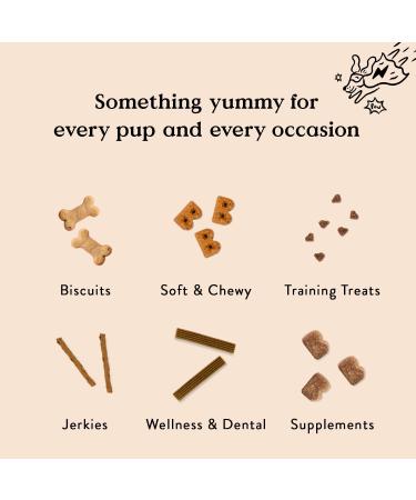 Bocce's Bakery Berries & Cream Dog Treats | Wheat-Free Soft & Chewy Cookies | Made in USA with Real Ingredients | Cream Cheese & Blueberry Flavor | 6 oz - Buy Online on GoSupps.com