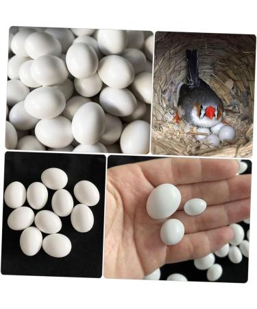 BESPORTBLE 12pcs Portable Fake Eggs Multi-Function Fake Eggs Delicate Simulated Eggs Solid Egg Multifunction 1.6x1.2cm White - Buy Online on GoSupps.com