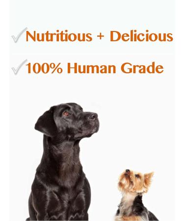 Pure Liver Sprinkles | Buddy Bits Beef Liver Powder for Dog Food Topper | Add to Food Helps Eating and Appetite | Made in Canada Large Bag - Buy Online on GoSupps.com