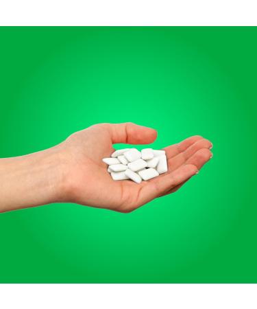 PUR Gum | Sugar-Free Chewing Gum | 100% Xylitol | Vegan Aspartame-Free Gluten-Free Diabetic-Friendly | Natural Spearmint Flavor | 55 Pieces (3-Pack) & 165 Pieces (1-Pack) - Buy Online on GoSupps.com