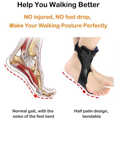AFO Drop Foot Brace 2023 - Upgraded Medical Ankle Support with Airbag for Stroke Patients - Right L - Buy Online on GoSupps.com