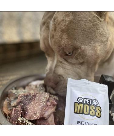 Pet Moss: Sea Moss For Cats | Multi-Mineral | Multi-Vitamin | Joint Supplement | Hair Skin and Nail Supplement | Cat Skin Supplement | Allergy Supplement | Collagen Supplement | Probiotic - Buy Online on GoSupps.com