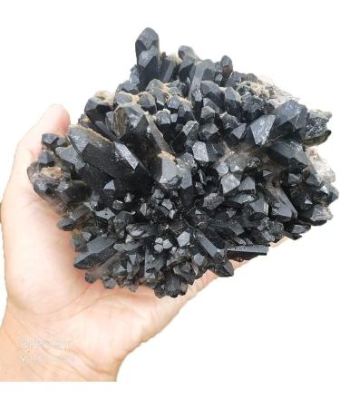 for Beautiful Black Quartz Crystal Cluster Specimen Natural Quartz Minerals Stone Specimen FUZEGRDLI (Size : 450-500g) - Buy Online on GoSupps.com