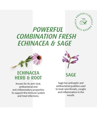 A.Vogel Echinaforce Sore Throat Spray Fast Acting Relief | Antibacterial | Clinically Proven | Fast-Acting Treatment for Pharyngitis Tonsillitis Soreness and Hoarseness | Organically Grown Echinacea Purpurea Herb Tincture | Vegan and Cruelty-Free | 30mL - Buy Online on GoSupps.com
