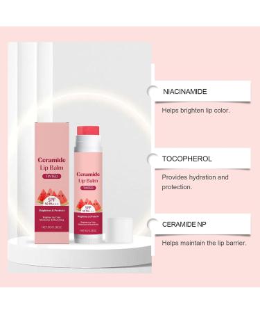 Tinted Lip Balm | Non-Greasy Moisturizing Beauty Care | Glossy Moisturizing Care for Women - For Travel Parties Birthdays Valentine's Day Christmas - Buy Online on GoSupps.com