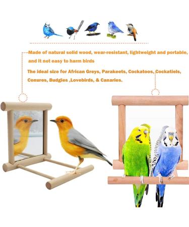 Bird Mirror Swing Toy for Small Parrots - Hanging Play Mirror for Greys, Parakeets, Cockatoos, Cockatiels, Conures, Lovebirds, Canaries, Macaws and African Parrots - Buy Online on GoSupps.com