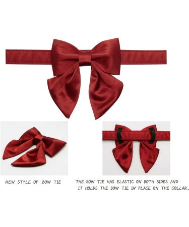 Lionet Paws Bowtie Dog Halison - Comfortable Silk Collar with Removable Fly for Medium Dogs (Neck 34-55cm) - Red - 1 Pack - Buy Online on GoSupps.com