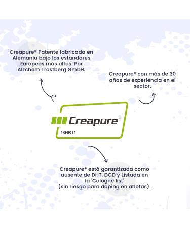 Creatine Excell 100% Creapure by HSN | Micronized Creatine Monohydrate Supplement for Increased Strength and Muscle Mass Increases Muscle Performance 500g - Buy Online on GoSupps.com