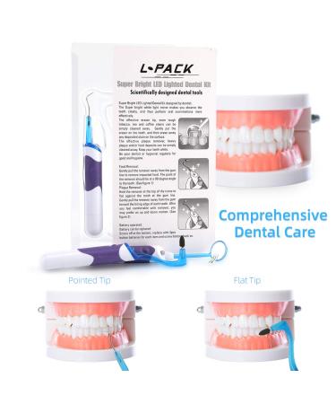 Tooth Stain Remover Tool - LED Oral Care Cleaning Kit for Family & Dentist Hygiene | Portable Dental Scraper & Mouth Mirror Set - Buy Online on GoSupps.com