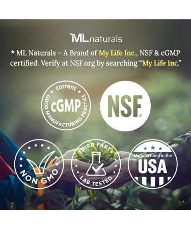 ML Naturals Triple Strength Milk Thistle 2,000 mg (High Dosage & Potency Silymarin 192 mg per Serving), 120 Vegetable Capsules. Supports Liver Health, Third-Party Lab Tested 120 Count (Pack of 1) - Buy Online on GoSupps.com